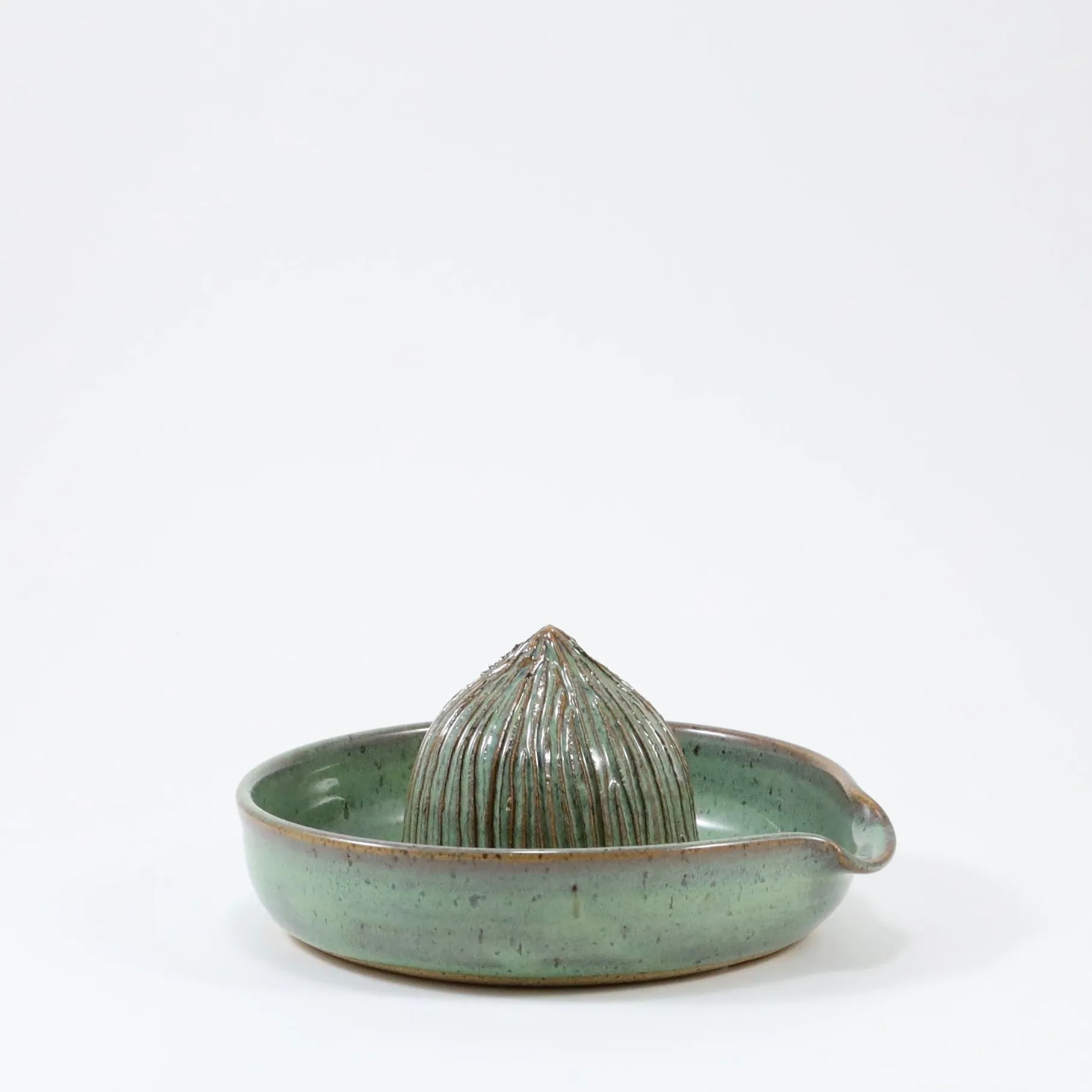 Citrus Juicer in Sage by Rachael Pots