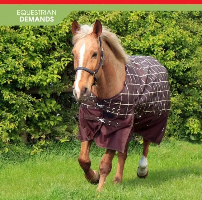 John Whitaker Chiserley 200g Checked Turnout Rug with hood Brown