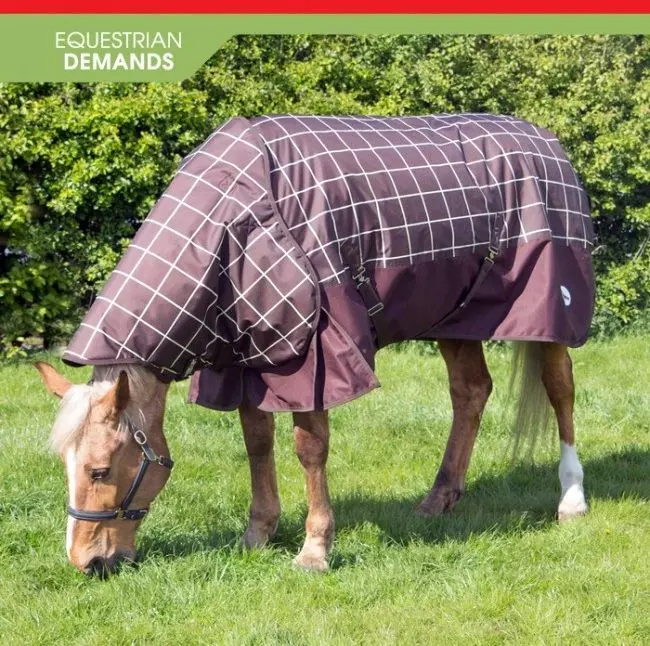 John Whitaker Chiserley 200g Checked Turnout Rug with hood Brown