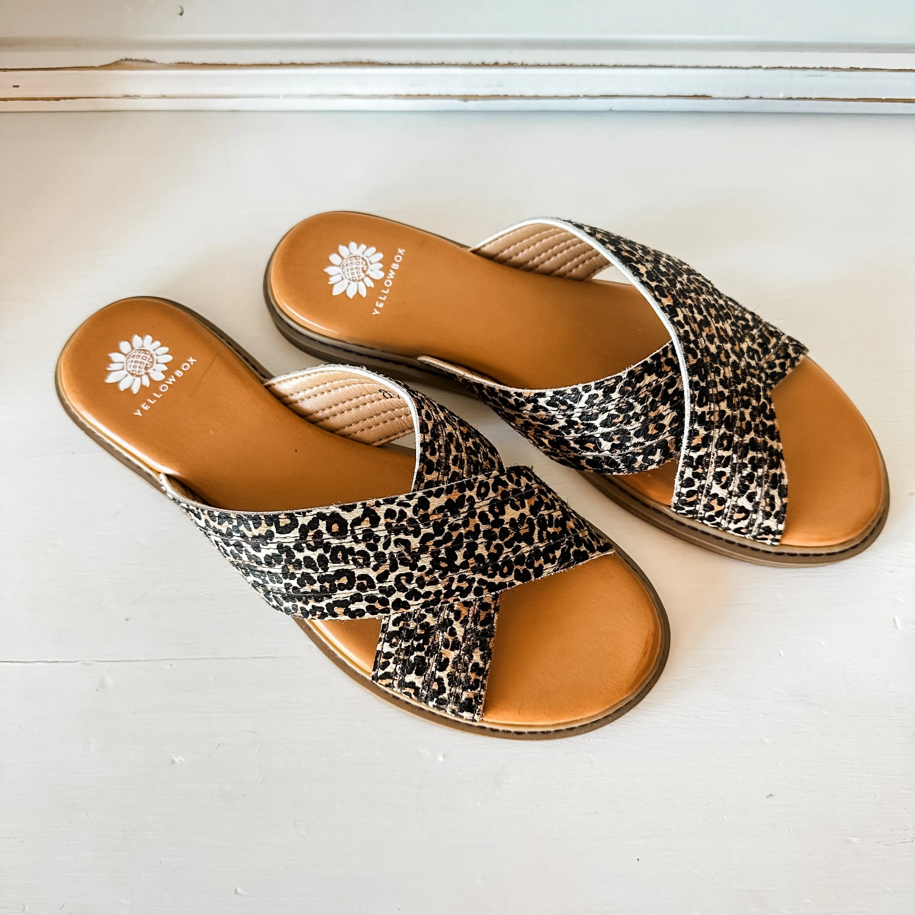 Linta Crossband Slide - Leopard