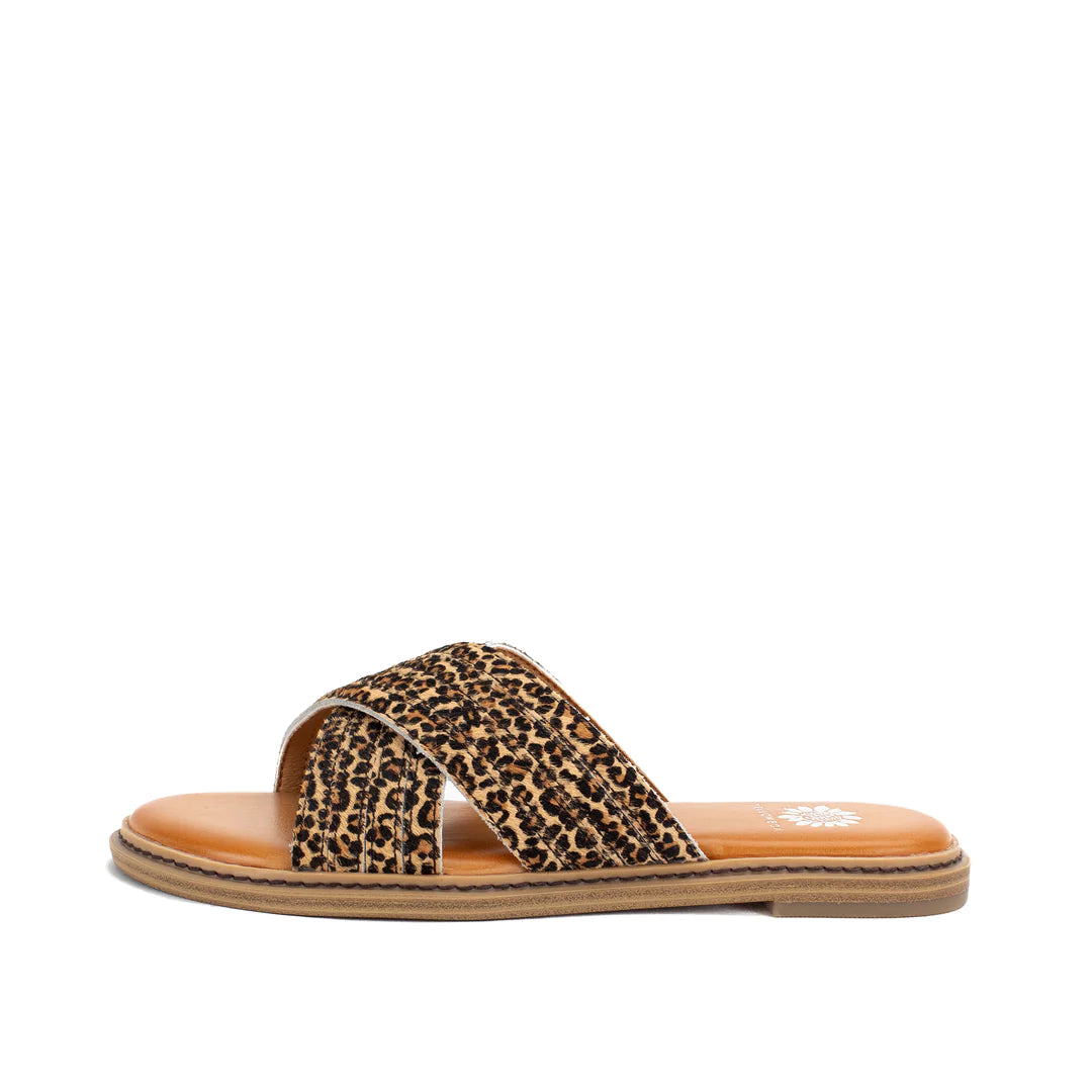 Linta Crossband Slide - Leopard