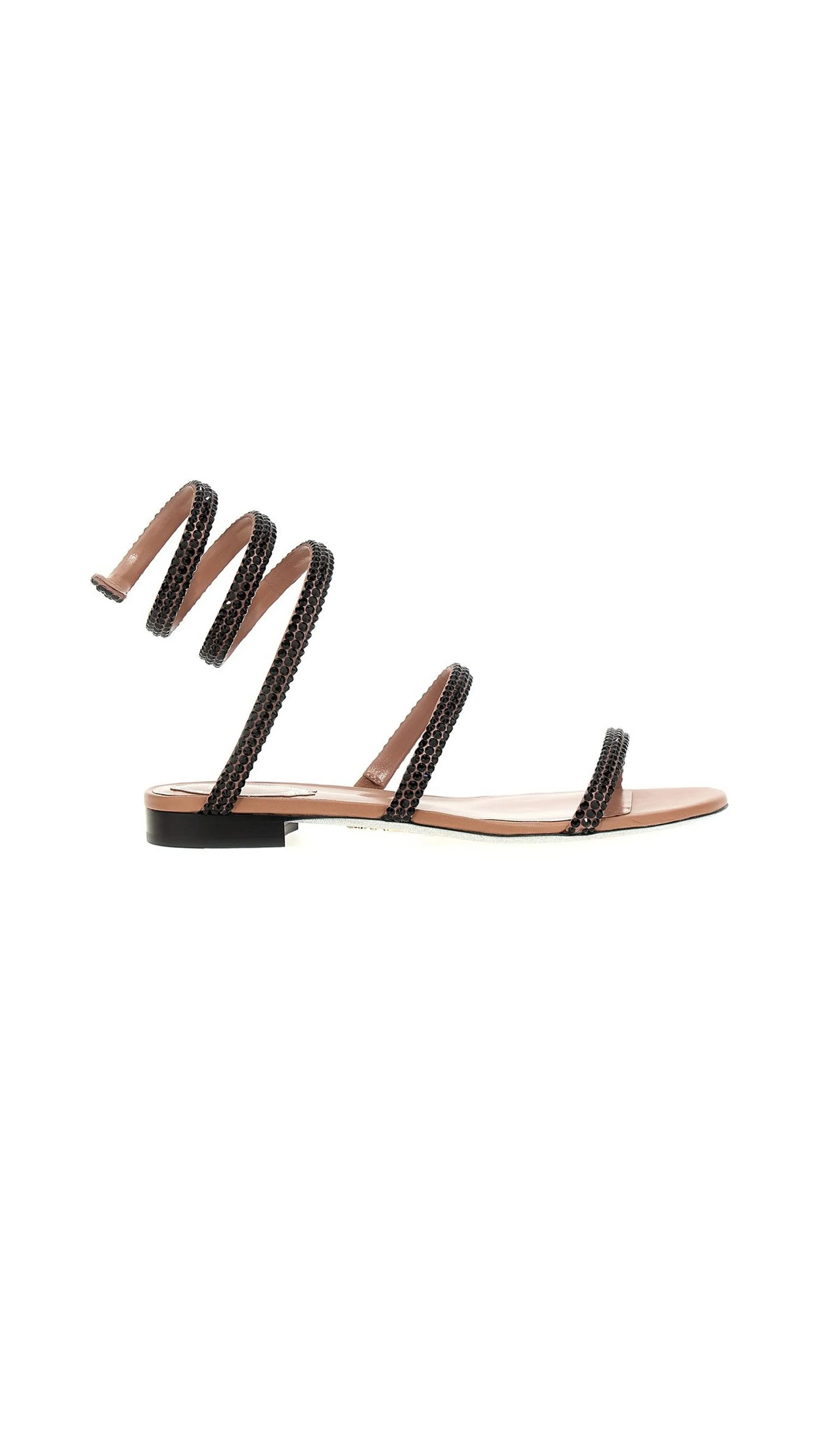 René Caovilla Cleo Havan Flat Sandals - Brown