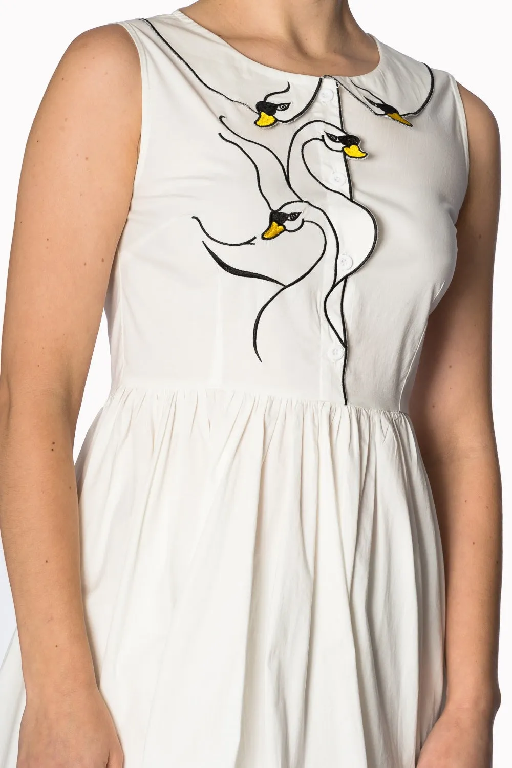 SWAN LAKE DRESS