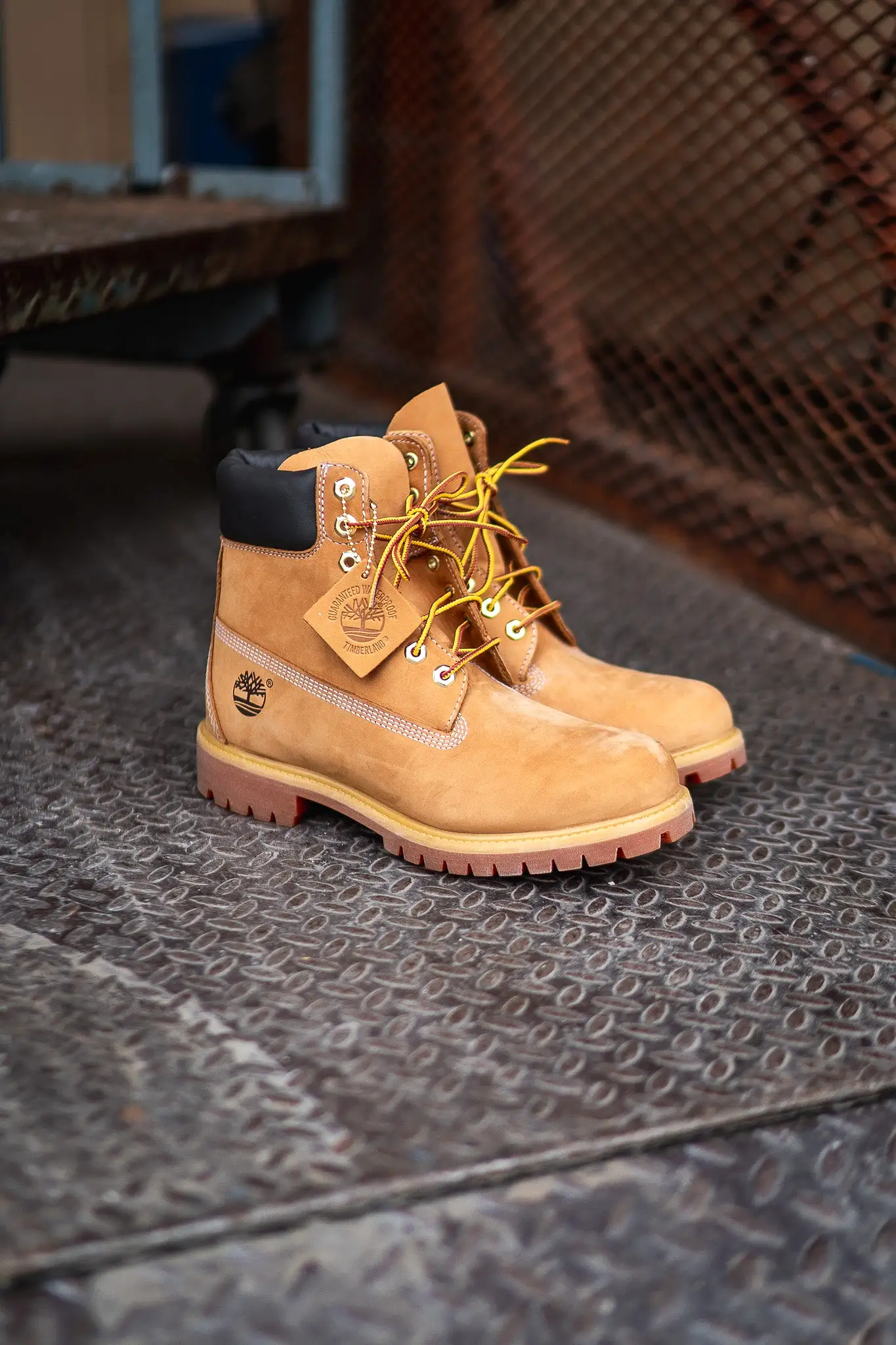 Timberland Premium 6 Inch Waterproof Boot (Wheat) 10061