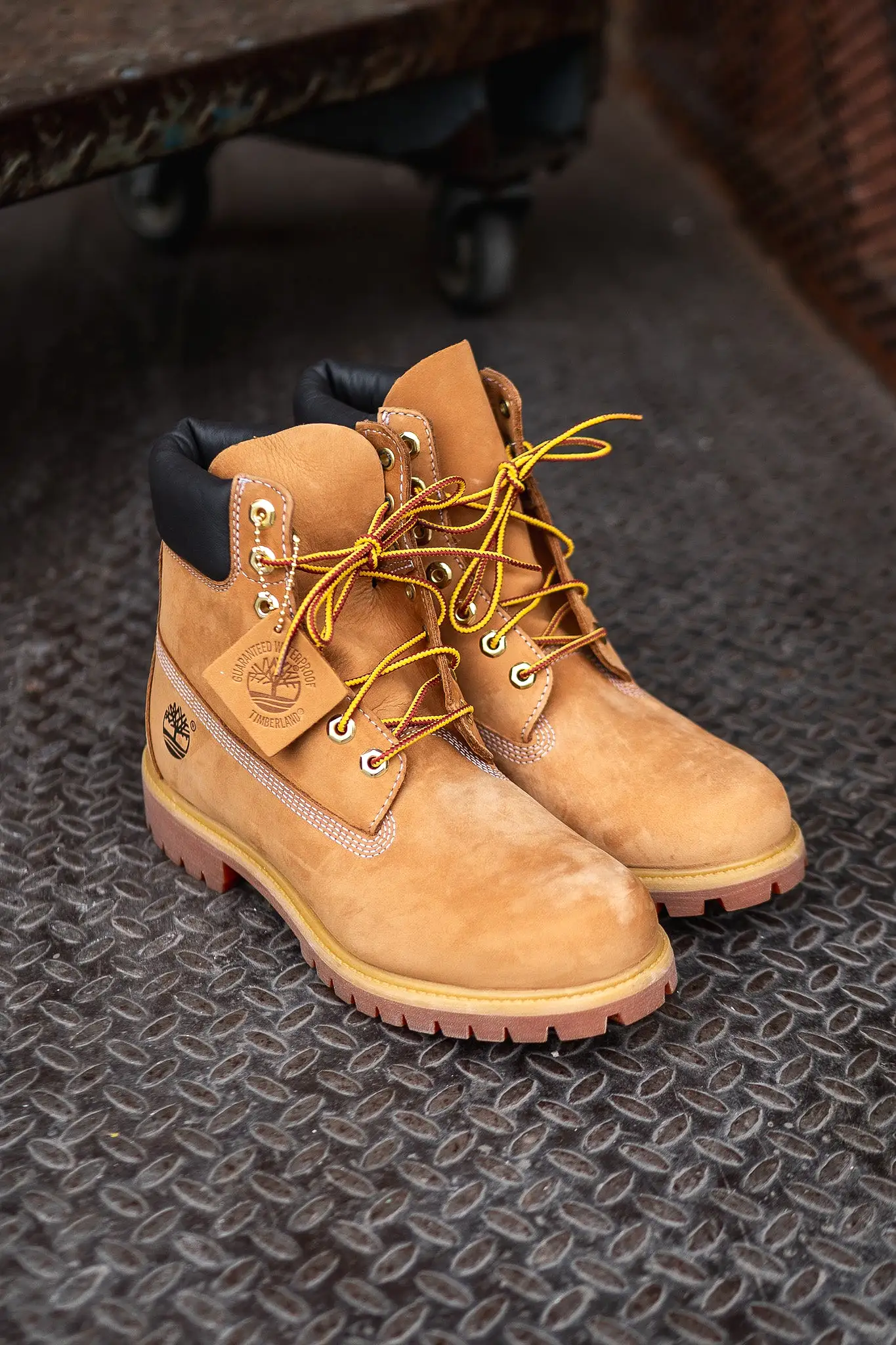 Timberland Premium 6 Inch Waterproof Boot (Wheat) 10061